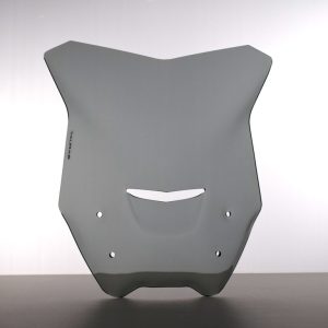 Cupolino BMW R1200 R intake dal 2015